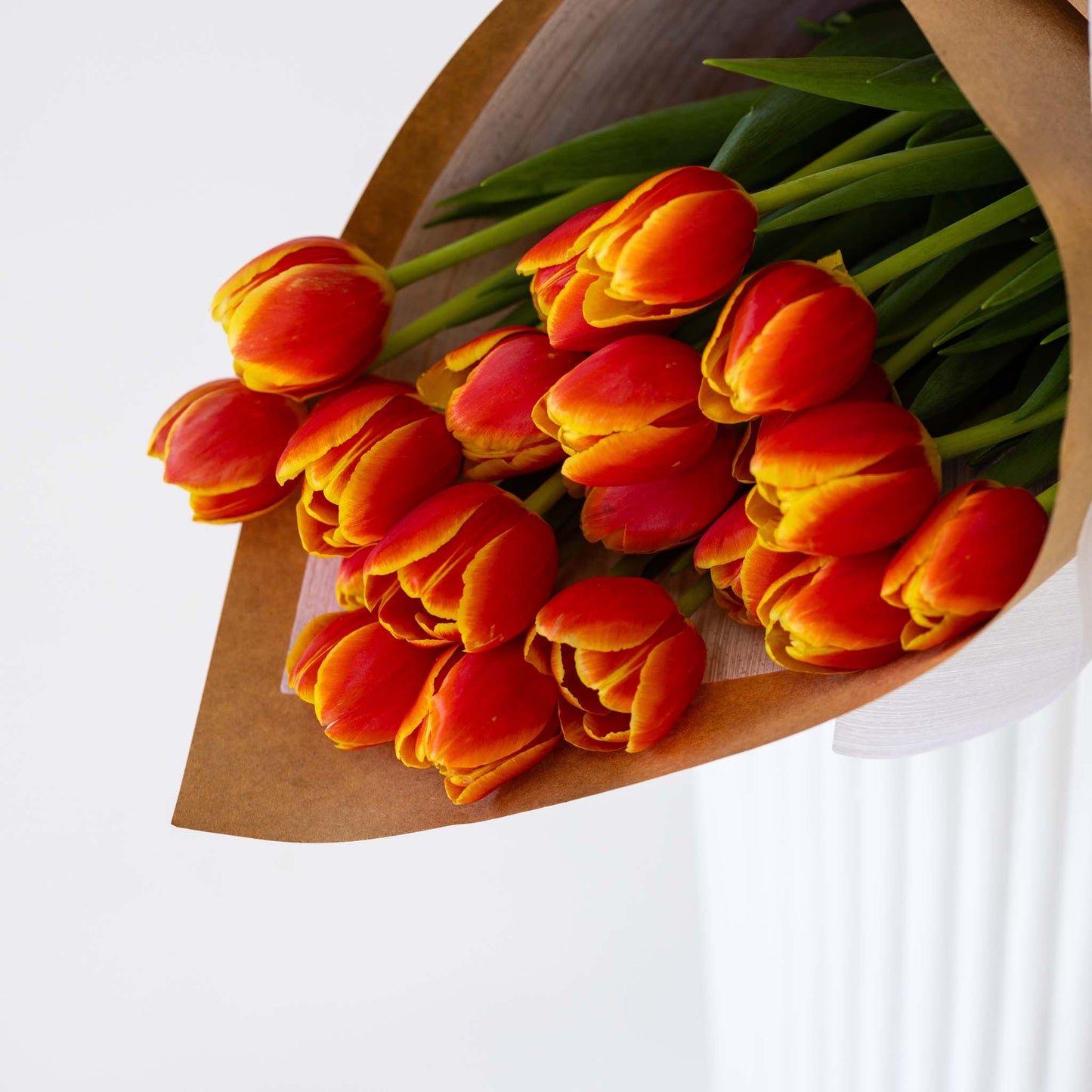 Tiptoe Tulips