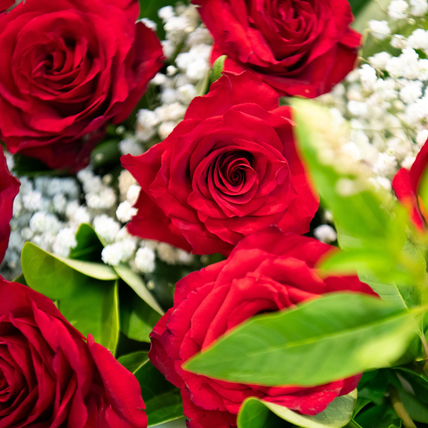 12 Long-Stemmed Red Roses Bouquet (Dozen)