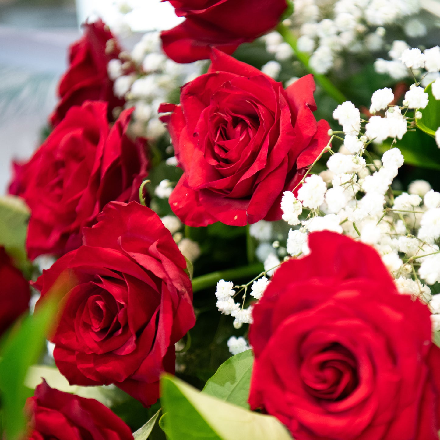 12 Long-Stemmed Red Roses Bouquet (Dozen)