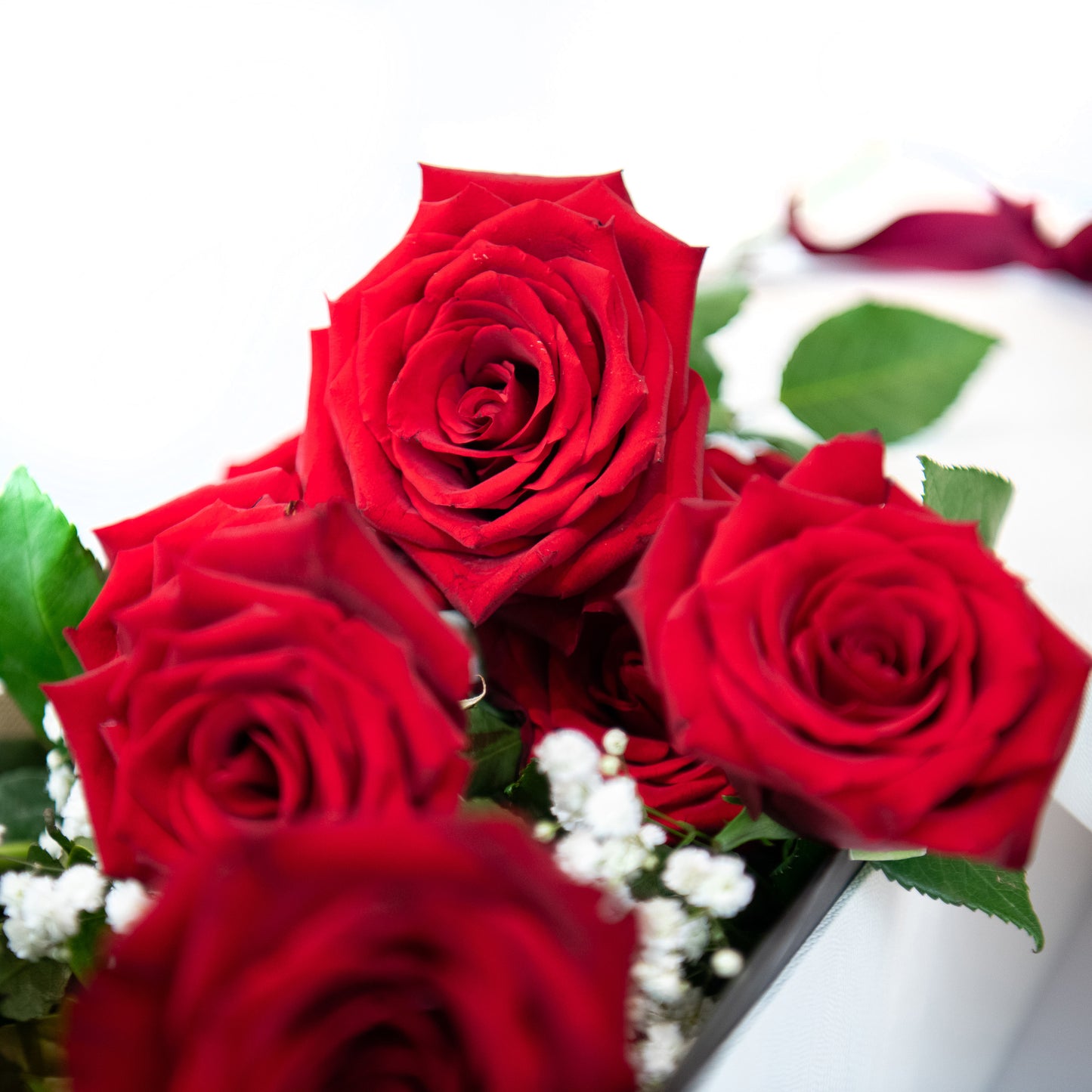 12 Long-Stemmed Red Roses Boxed (Dozen)