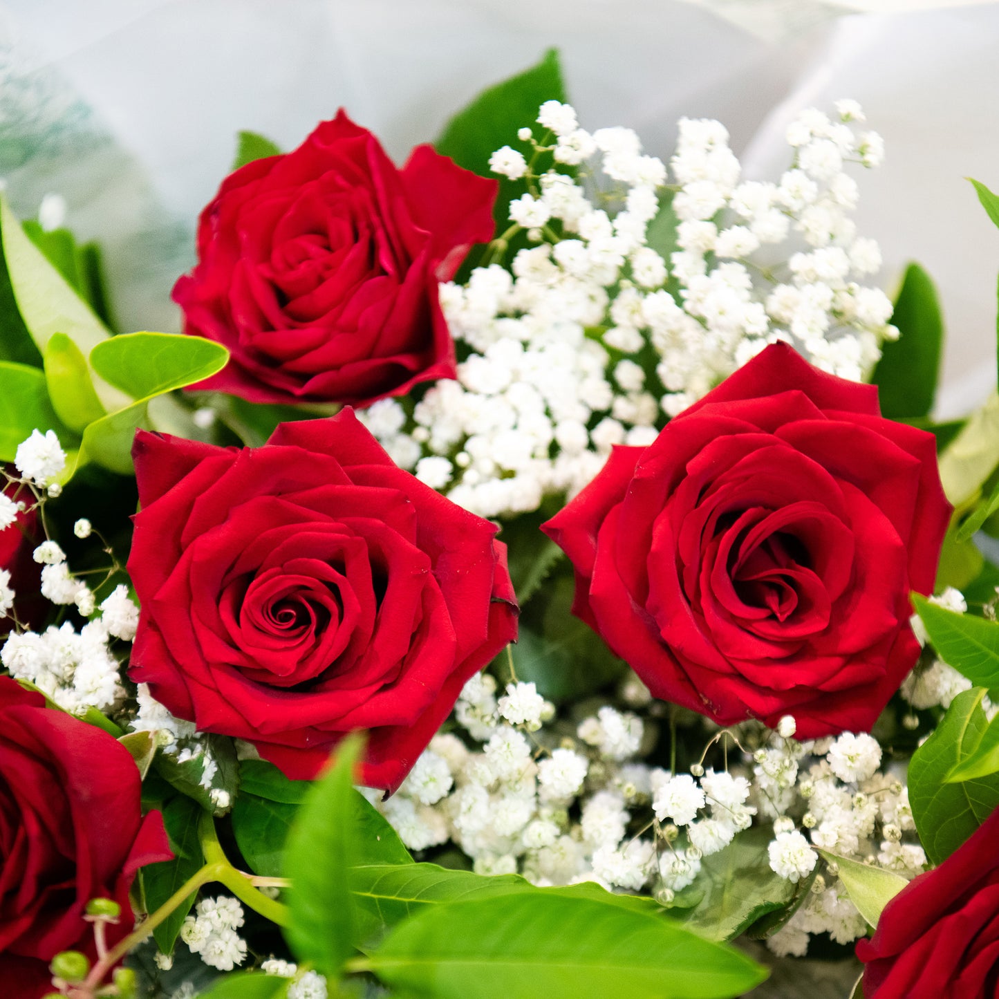 6 Long Stemmed Red Roses Bouquet (Half Dozen)