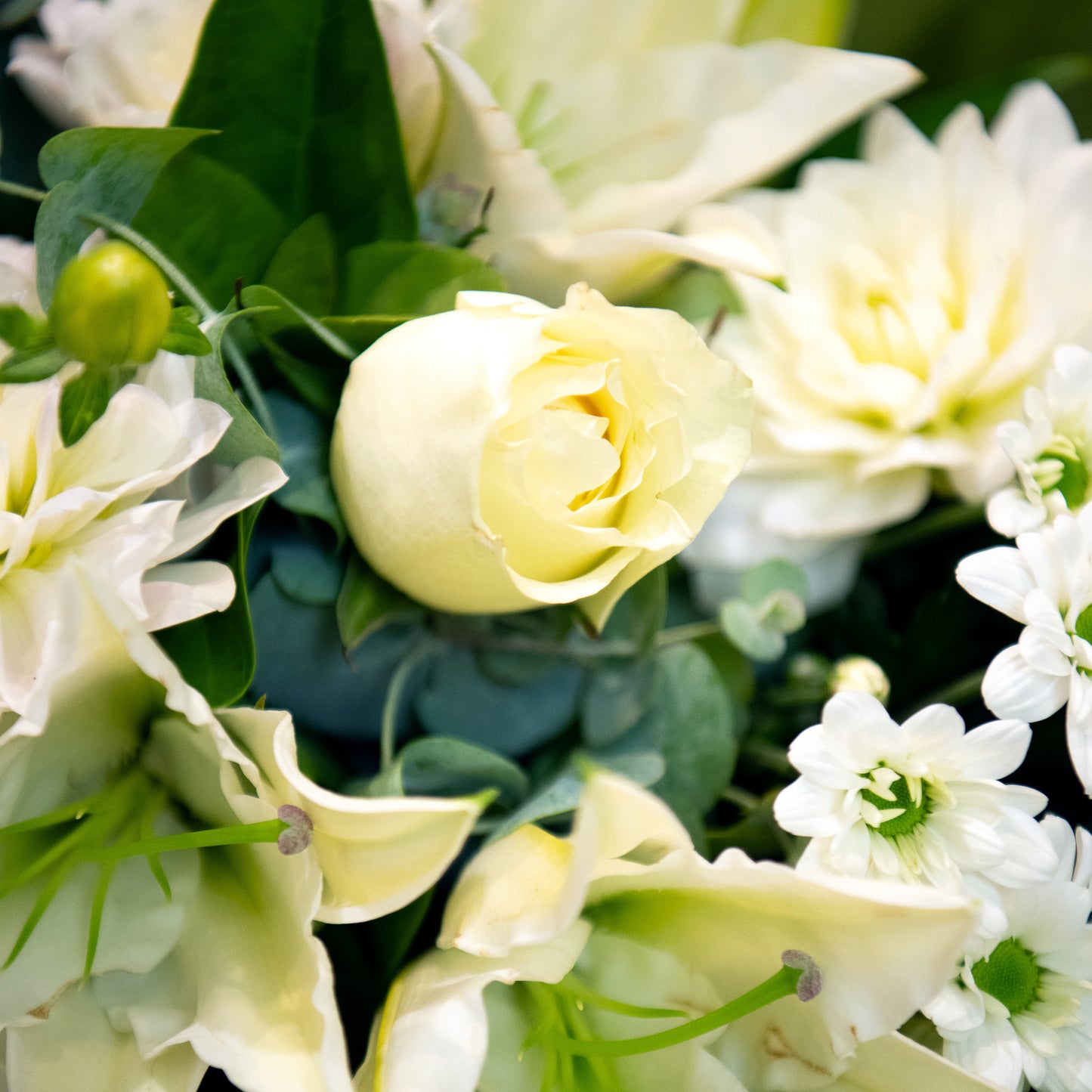 Florist Choice Bouquet - Tranquil