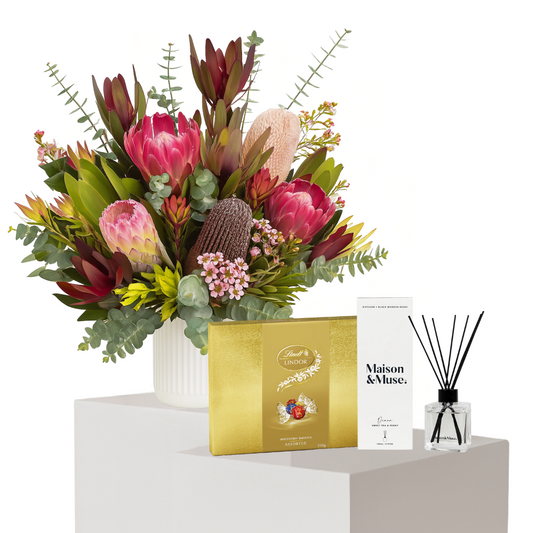 Native Lover's Bundle
