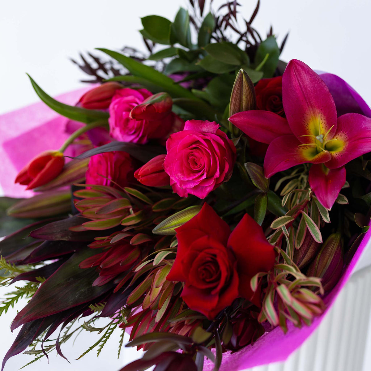 Rpple Raspberry Roses Raspberry Ripple – Inbloom Florist Sydney