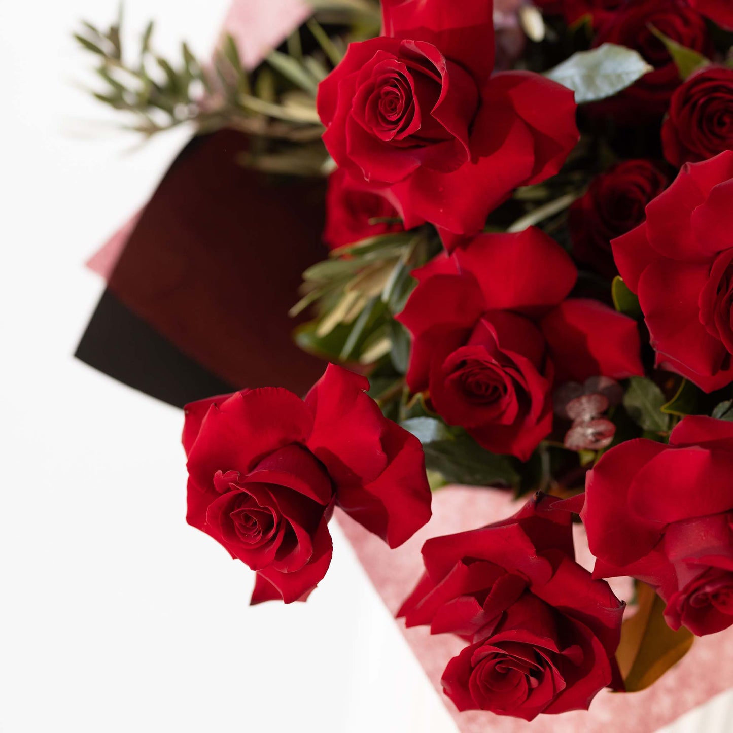 Lover's Red Roses